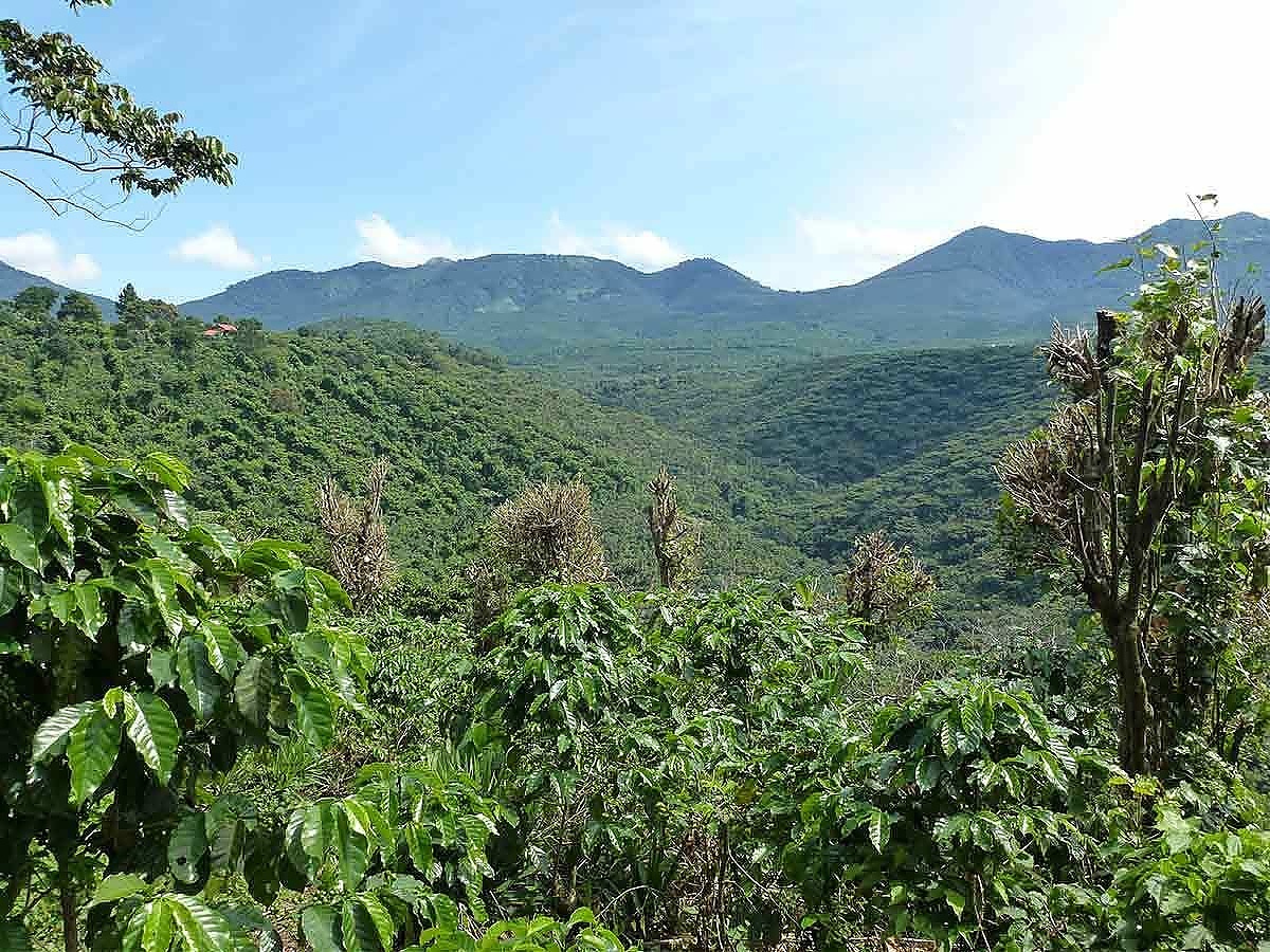 El Salvador - Vimarsana News