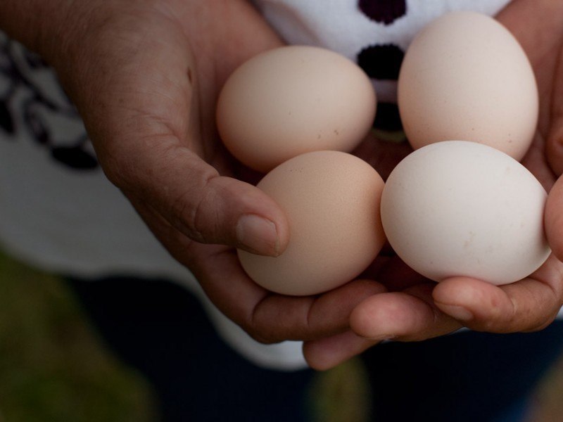 person holding 4 eggs in their hands