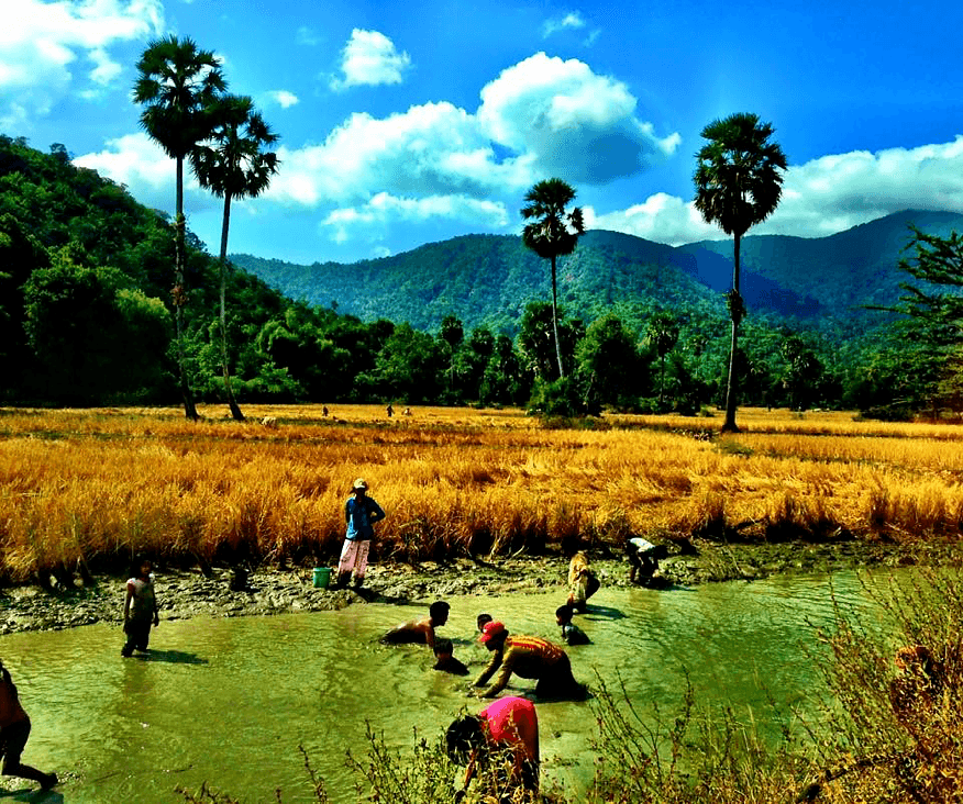 Cambodians catching fish near Phnom Aural, the tallest peak in Cambodia