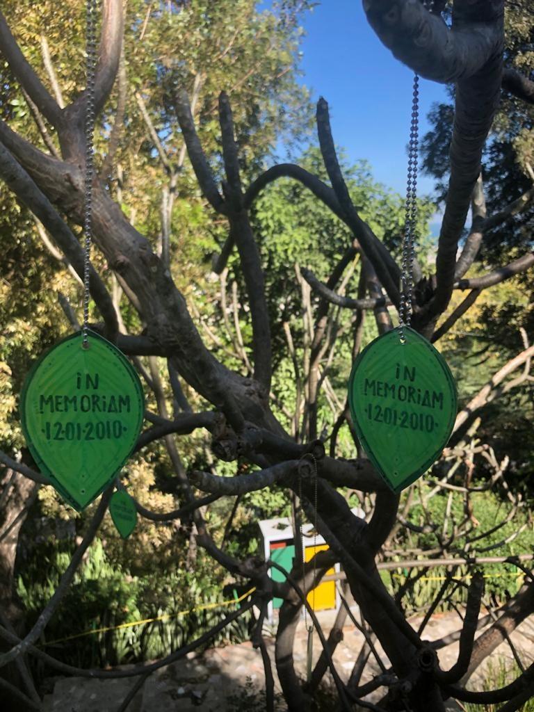 These are "in memory" leaves with the names of those who died in the earthquake. It's part of an art installation in a public park. 