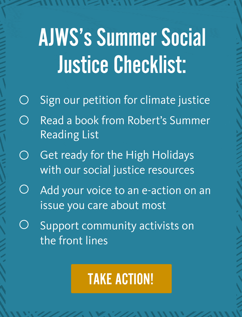 Summer Social Justice Checklist - Vimarsana News