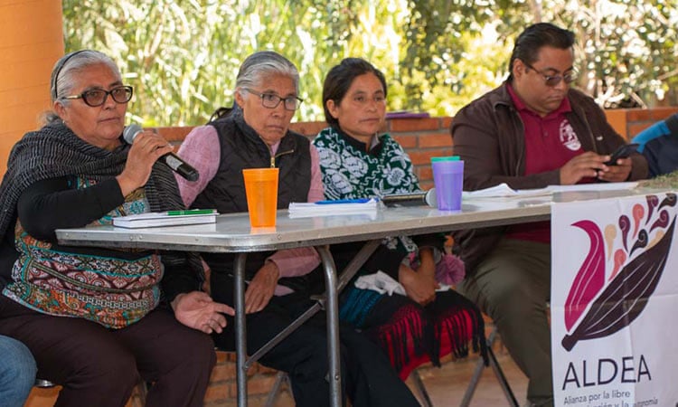 four people sitting on one side of a table, with trees behind them. there are some papers and beverages on the table.