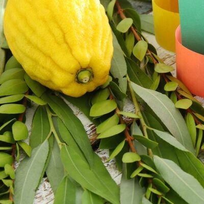 etrog and lulav