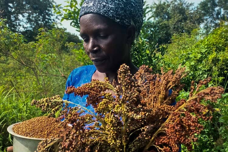 woman outside harvesting