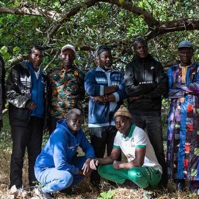 group of men posing in front of a lush tree