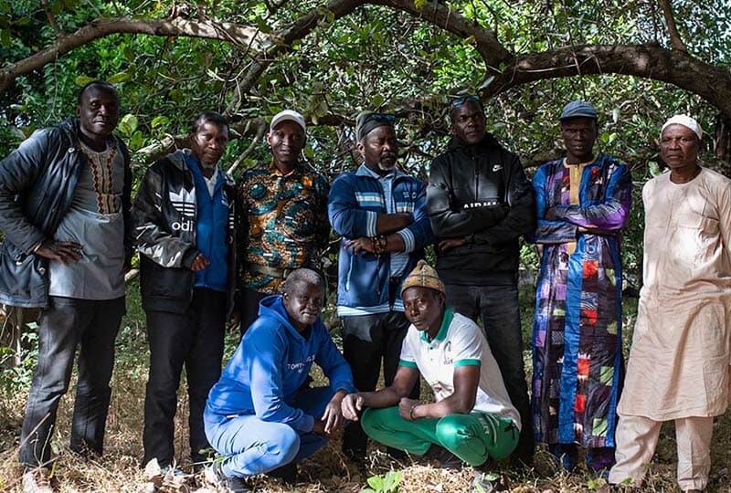 group of men posing in front of a lush tree