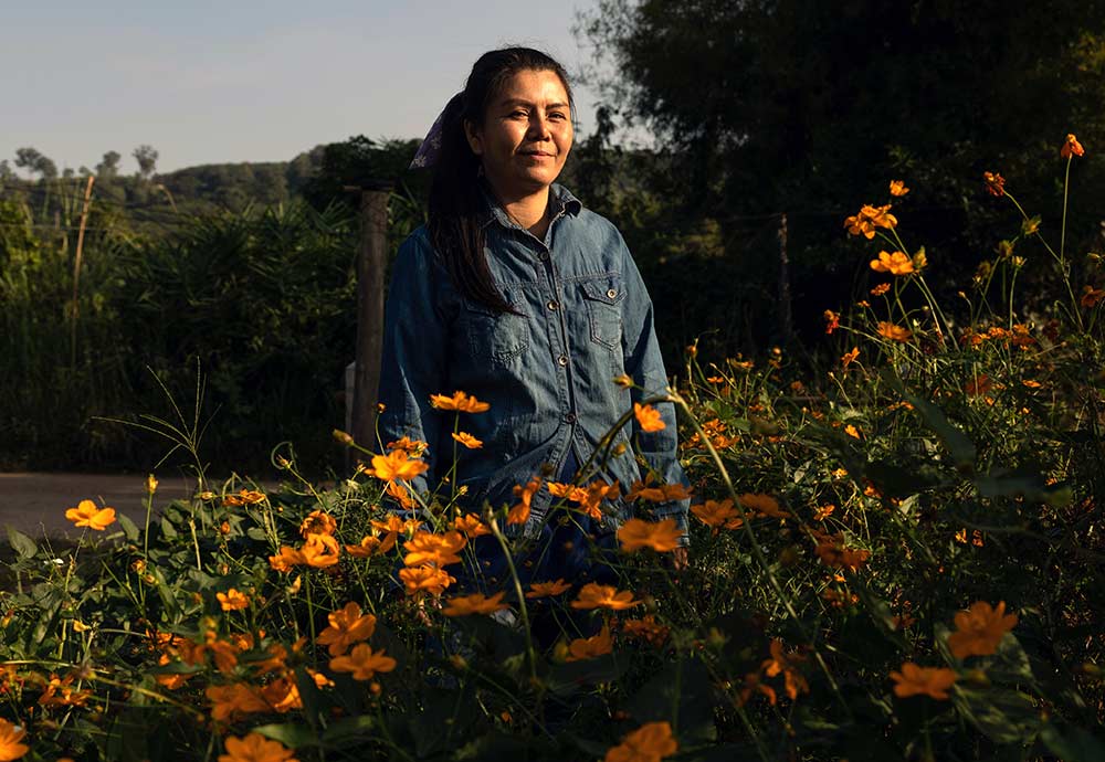Much like thousands of villagers across Thailand, Am has been evicted from her farmland multiple times due to government takeovers of rural lands.
